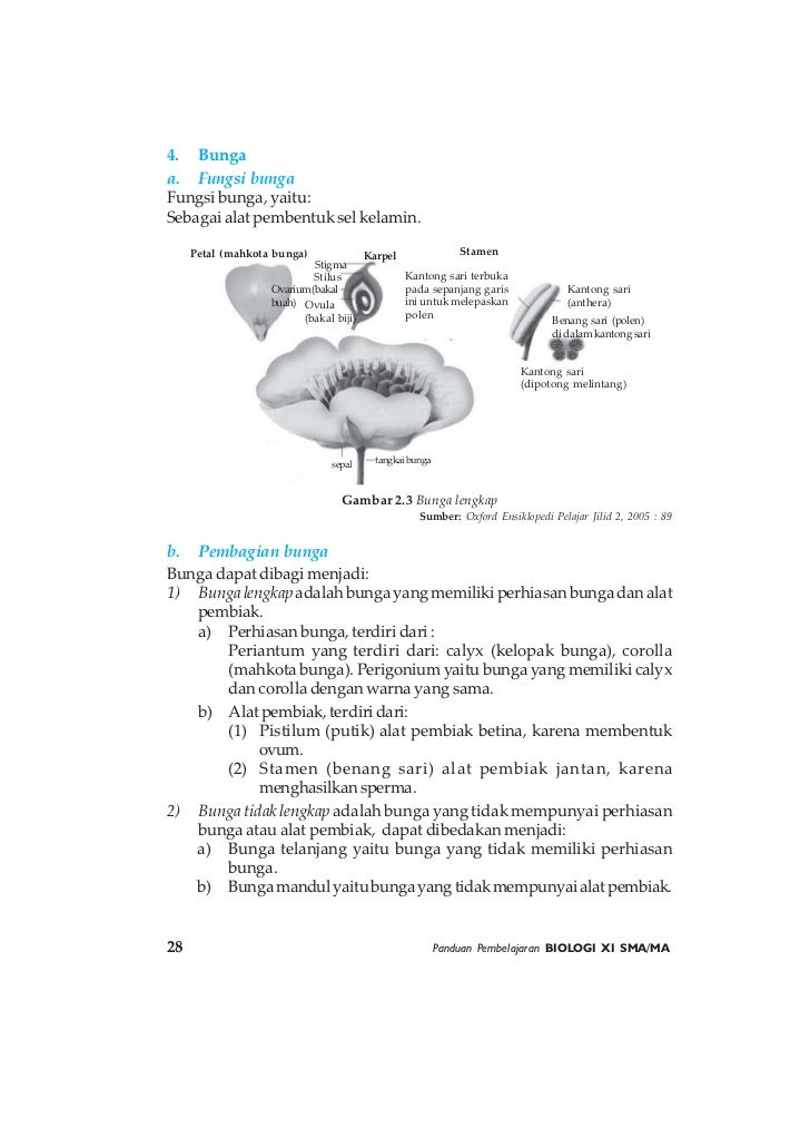 Buku Biologi SMA Kelas XI Suwarno